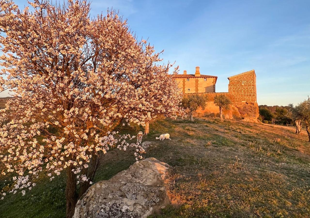 Castillo De Corvinos Huesca Esterno foto